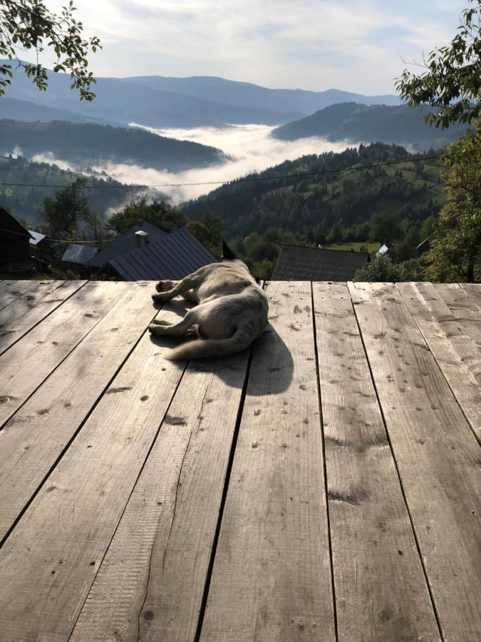 La Noi La Munte Villa Matisesti Exteriör bild