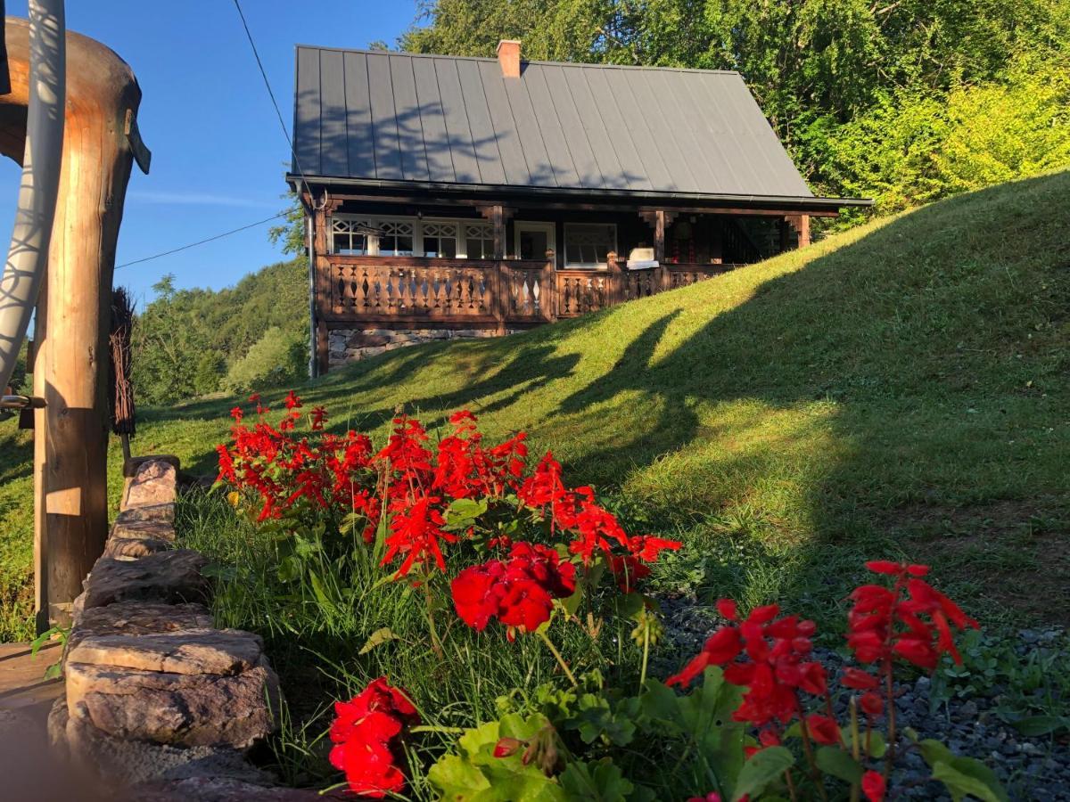 La Noi La Munte Villa Matisesti Exteriör bild