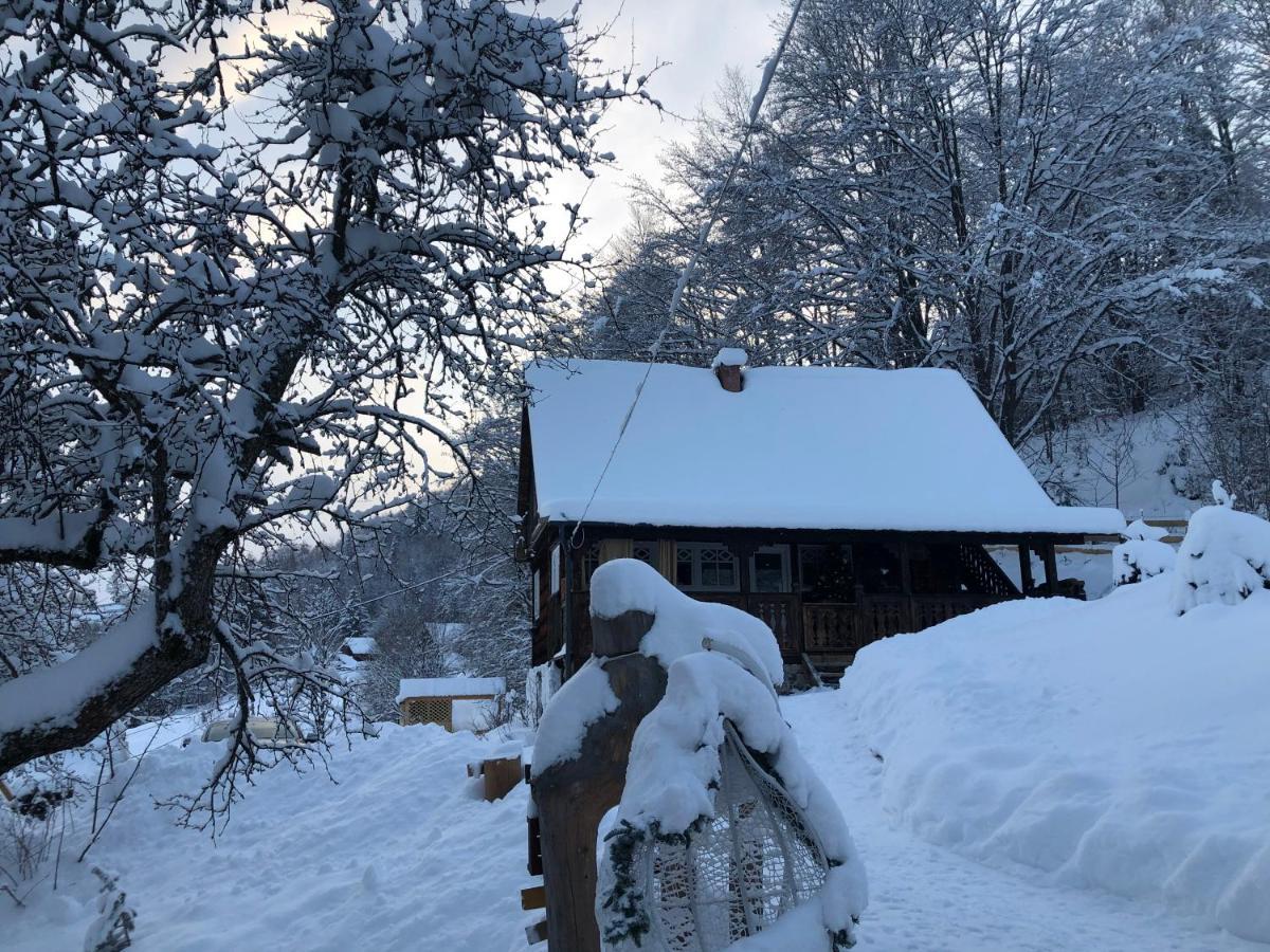 La Noi La Munte Villa Matisesti Exteriör bild