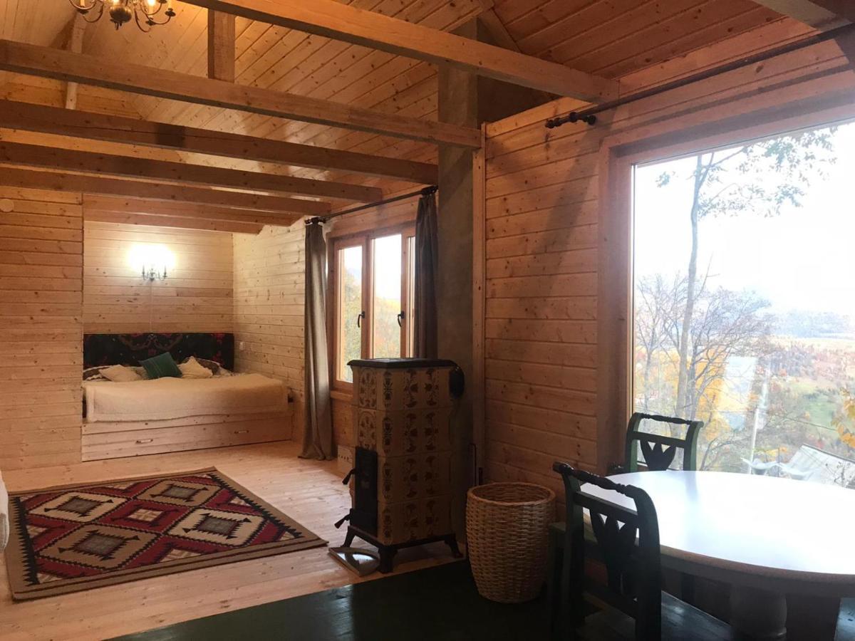La Noi La Munte Villa Matisesti Exteriör bild