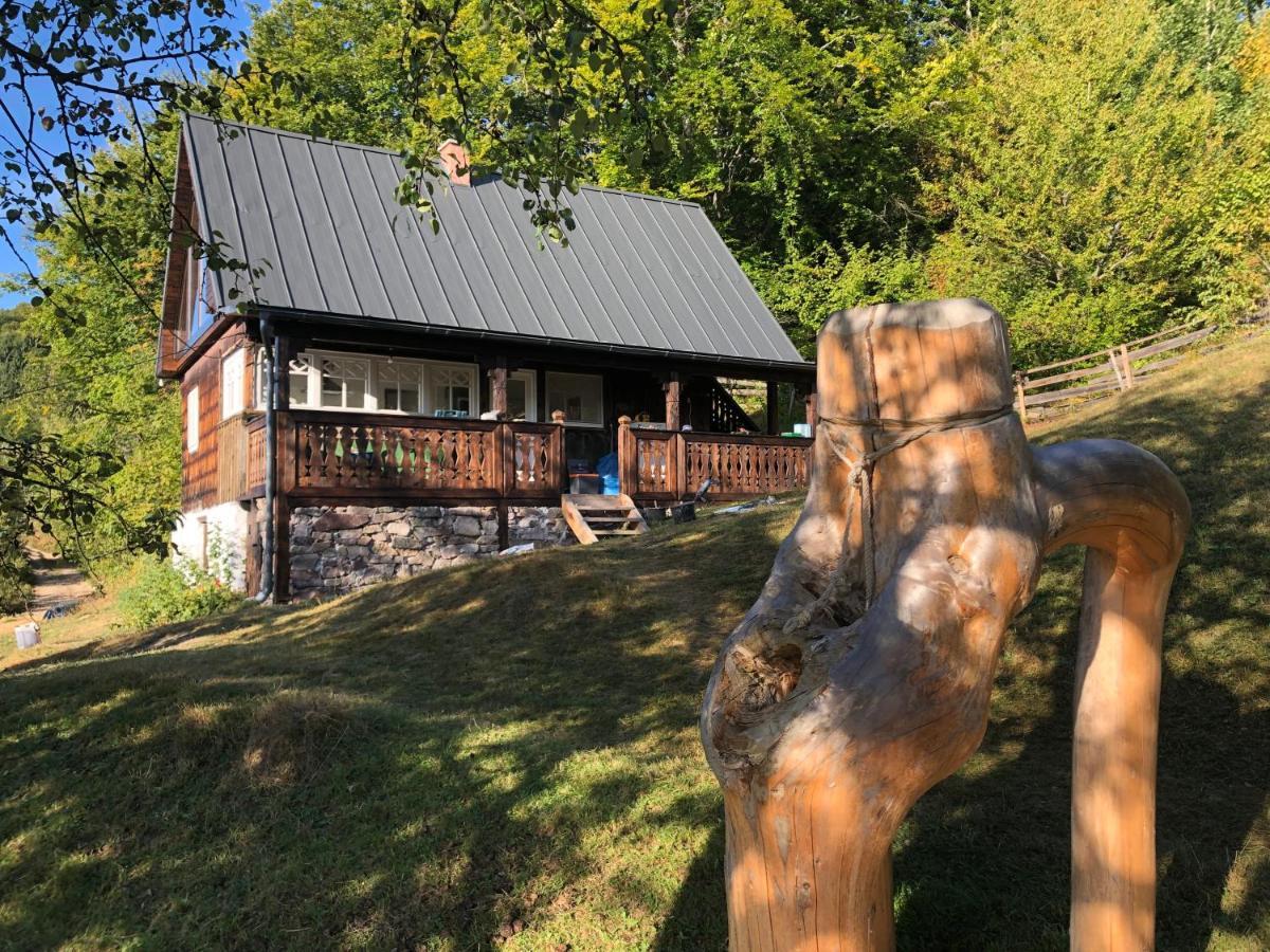 La Noi La Munte Villa Matisesti Exteriör bild