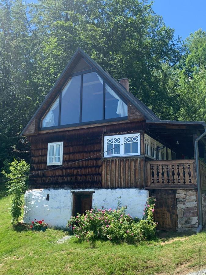 La Noi La Munte Villa Matisesti Exteriör bild